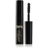 Delia Cosmetics Eyebrow Expert gel sourcils teinte 1.0 Black 4 ml