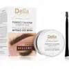 Delia Cosmetics Eyebrow Expert cire fixatrice pour sourcils teinte Brown 10 ml
