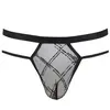 Passion String Collin - Noir