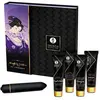 Shunga Kit De Jouets Sexuels Geisha