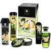 Shunga Huile De Massage érotique Garden Of Edo Collection
