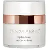 YoungBlood Hydra Luxe Water Crème Crème visage 1000 ml