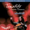 Savarez Flamenco T50J Jeu de Cordes pour Guitare classique