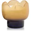 Paddywax Tulip Garden & Grove bougie parfumée 155 g