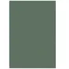 Novatrend Tapis de salon doux vert 120x170 cm