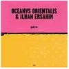 Nukleuz Blue Pire / Mesta Ilhan Ersahin (Interprète), Oceanvs Orientalis (Interprète) Maxi vinyle