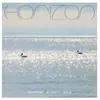 Horizon Resavoir And Matt Gold (Interprète) Vinyle album