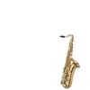 Jupiter Jts700q - Saxophone Ténor Étudiant Verni Jts700q