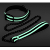 Ns Novelties Collier & Laisse Phosphorescents GLO Bondage