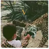 Jagjaguwar V Unknown Mortal Orchestra (Interprète) Vinyle album