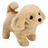 Peluche Chien Électrique en marchant crier 18cm