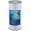 Cartouche filtration piscine SWINCLEAR CX100XRE - HAYWARD 60