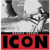 Felte Icon - édition;colorée