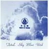 No Holiday Sky Blue Void