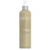 Preserving Blow Dry hair spray - Abba Soins capillaires 236 ml