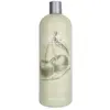 Gentle shampoo - Abba Shampoing 946 ml