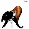 Black Antlers Coil (Interprète) Vinyle album