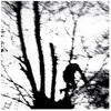 Dais Records Camouflage Heart