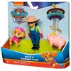 Figurine - SPIN MASTER - Paw Patrol - Hero Pup Core Skye - 3 ans - Enfant - Mixte