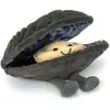 Peluche moule Michelle Jellycat