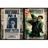 Puzzle Harry Potter Wanted Cratch Off 500pcs - Ocio Stock - Fantastique - 500 pièces - Adulte