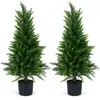 CostwayLot de 2 Plantes Artificielles Interieur 90CM Arbres de Cyprès ...