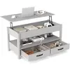 Costway Table Basse à Plateau Relevable avec Rangement Table d'Appoint...