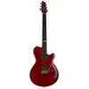 Godin DS-1 Daryl Stuermer Signature