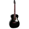 Seagull Artist Ltd Tuxedo Bk Eq + Housse