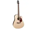 Seagull coastline spruce slim cw presys ii