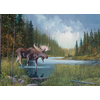 Cobble Hill Moose Lake
