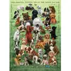 Cobble Hill Family - Chiots