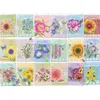 Cobble Hill Sachets de Graines
