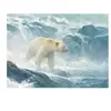 Pièces XXL - Salmon Watch - Spirit Bear 500 Pièces  Cobble Hill