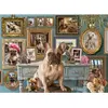 Cobble Hill Frenchie