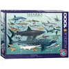 EurographicsPuzzles - Requins - puzzle - 1000 pièces