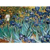EurographicsPuzzles - Irises - puzzle - 1000 pièces