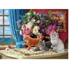 Chats Curieux 1000 Pièces  Eurographics