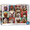 Puzzle Eurographics - Lucia Heffernan : Chiens drôles, 1000 pièces