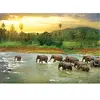 Puzzle Eurographics - Sauvez la planète ! Le règne animal, 1000 pièces