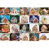 Eurographics Gingerbread House Tin