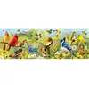 Puzzle panoramique Eurographics - Oiseaux du jardin, 1000 pièces