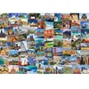 EuroGraphics- Red-Eyed Tree Frog Puzzle, 8220-5480, Coloris Assortis, 67 x 100 cm