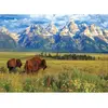 Parc National Grand Teton 1000 Pièces  Eurographics