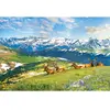 Les Élans à la Montagne 1000 Pièces  Eurographics