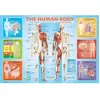 Non communiqué EuroGraphics Human Body Jigsaw Puzzle (200-Piece)