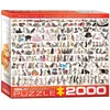 Eurographics Puzzle Motif Histoire de l'aviation - 1 000 pièces