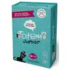 Totem Junior - Le Jeu qui fait du Bien