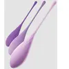 Kit Boules de Geisha Fantasy For Her Kegel Train-Her