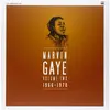Marvin Gaye 1966 1970 (Box 8lp) [Import]